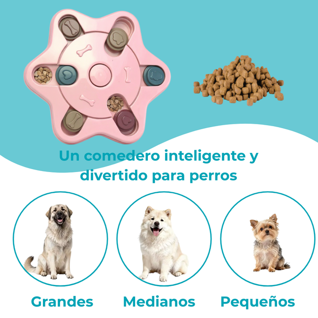 Dispensador de Comida y Premios