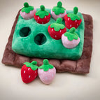 Gopher Red Strawberry